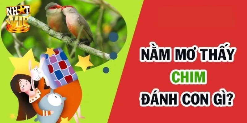 Mơ Thấy Chim - Khám Phá Con Số Mang Lại Tài Lộc Cùng Nhatvip Giải mã con số may mắn cho người nằm mơ thấy chim